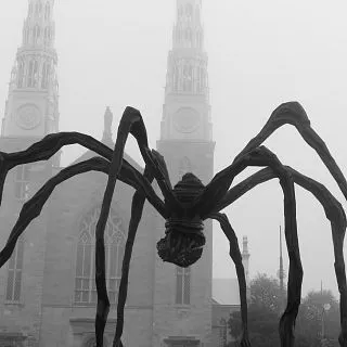 Image description